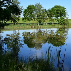 Ponds and lakes (2)