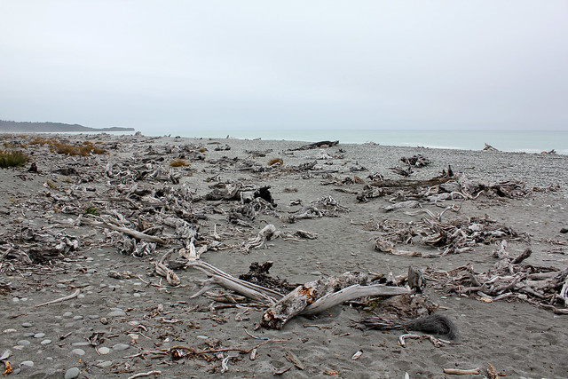 Driftwood on Gillespies Beach