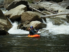 Stephen running the rapids