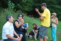 Pesniški piknik 2011