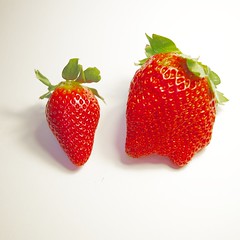 Food - Fruit - Strawberries