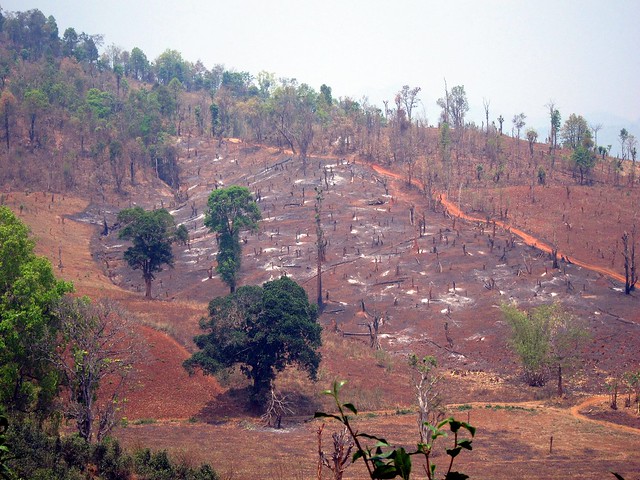 Deforestation in Hills Near Hsipaw
