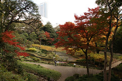 Japanese Autumn Colors - Visiting Korakuen Garden 2010