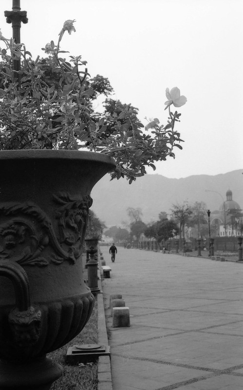Fotografía convencional, Lima en rollo: La Alameda de los Descalzos.