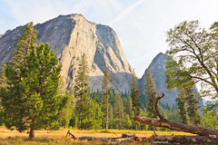 2012 07 11 Californie - Yosemite Park Day 1