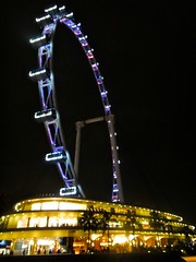 The Singapore Flyer 