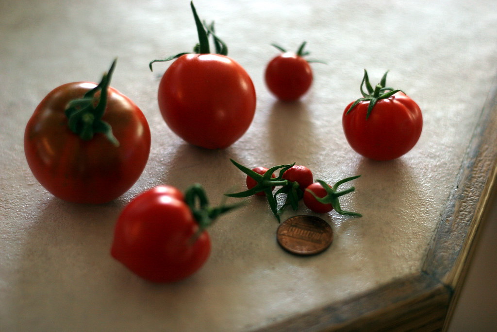 tiniest tomatoes