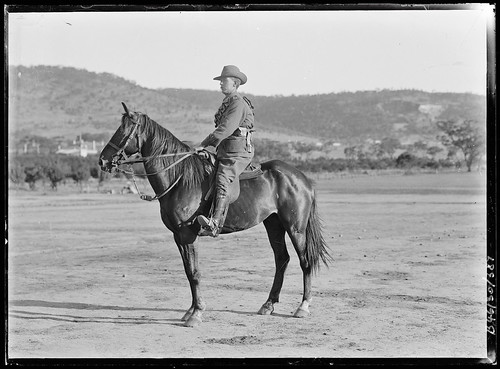 B46130_387 Mounted soldier