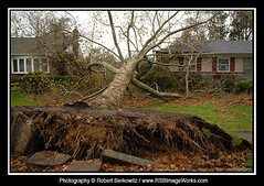 2012-10/29>30 - Hurricane "Sandy"