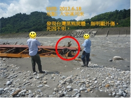 台灣黑熊遺體發現位置。（圖片來源：台灣黑熊保育協會提供）