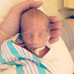 Rhys in daddy's hands. day 8. #preemie #twins