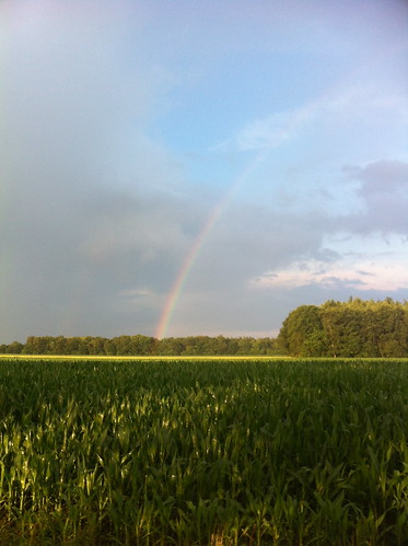 Finally: a rainbow!