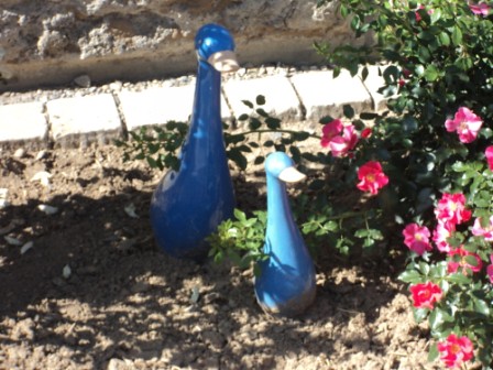 blue ducks