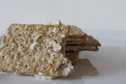 Healthy Snack Ideas - Cottage Cheese and Crackers