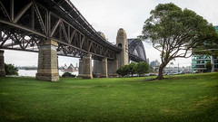Milsons Point - 2015.02.21