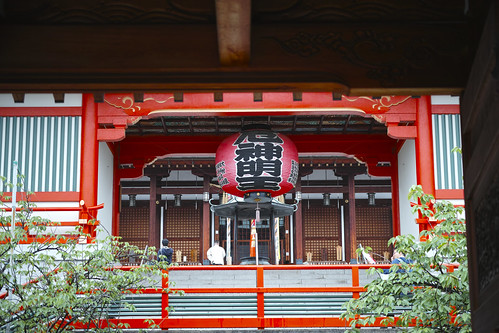 Mondo-Yakujin Tokoji Temple at Hyogo