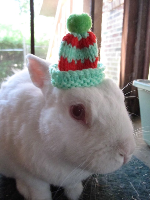 Jumbles with a hat on.