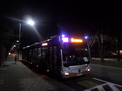 STIB-Bus-N04