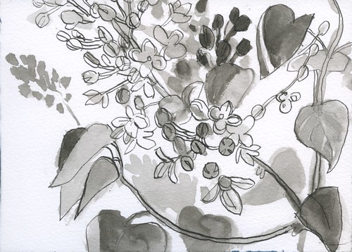 lilacs in bloom by Bricoleur's Daughter