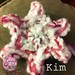 Kim's picot star entry; it looks so soft!