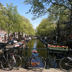 Amsterdam canal scenes