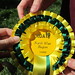 Countryside Challenge 2013 - 3rd Place Rosette