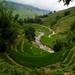 Wide angle Rice Terraces