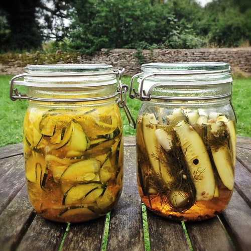 Marrow pickles, two ways. Looks promising!