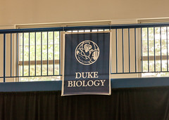 Duke Graduation 2013