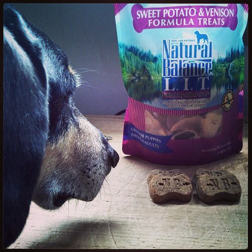 Guess what we're reviewing today? #review #dogtreats #dogstagram