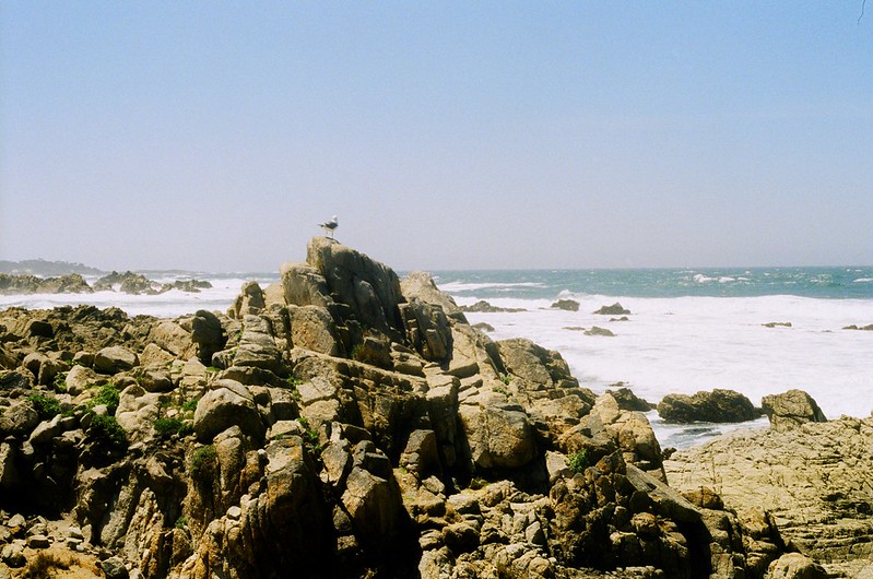 Point Lobos - California