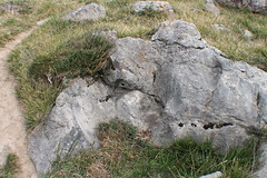 dolmen txoritokieta