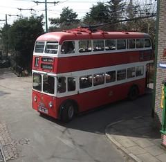 Belfast Trolleybus 246