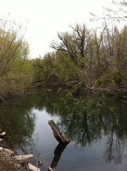 April 15, 2013 (Provo River Trail)