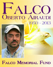Falco Memorial Fund