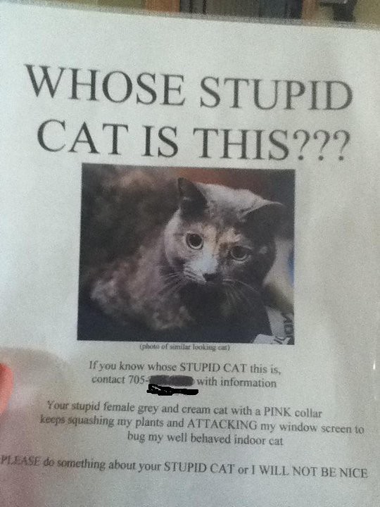WHOSE STUPID CAT IS THIS?