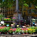 Aix en Provence Flower Market 10