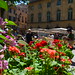 Aix en Provence Flower Market 07