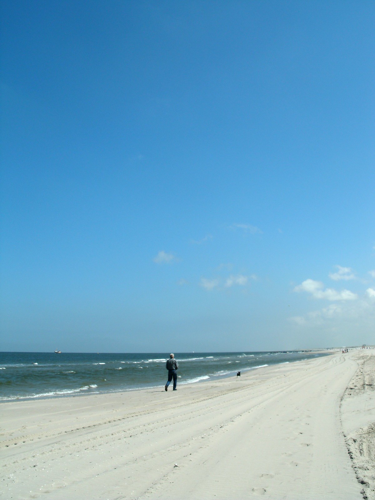 A man walks his dog along the shoreline at Hoek van Holland.