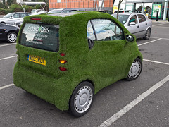 Easigrass Green Eco City Car