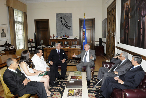 OAS Secretary General Received the Commission of Public Security Reform in Honduras
