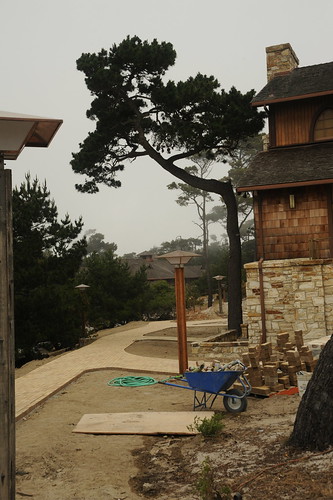 Even the construction looks amazing here, Monterey Cypress, blue wheelbarrow, yellow bricks, green hose, arts and crafts lamps, masonry, Asilomar Conference Grounds, Asilomar.com, state park, Pacific Grove, California, USA by Wonderlane