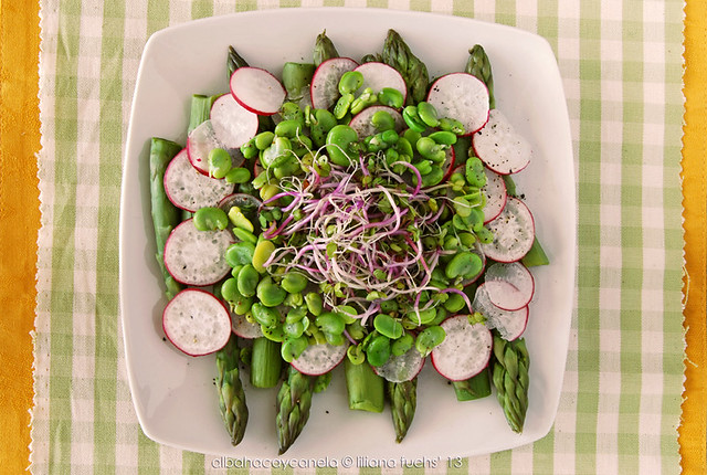 Spring salad with sprouts