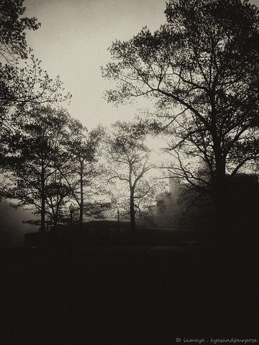 Morning Silhouettes by iameye@eyesandpurpose