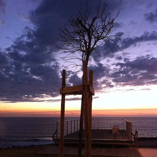 #tree on #ericeira #amazing #sunset by Joaquim Lopes
