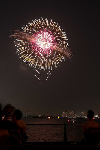 「昇分火 八重芯 菊先黄金光露 錦残輪」 by 篠原茂男 東京湾大華火 2013 Tokyo Bay Grand Fireworks