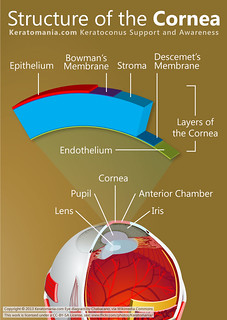 Structure of the Cornea. by Keratomania, eye diagram by Chabacano via Wikimedia Commons.