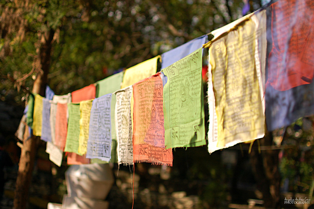 Tibetan Prayer Flags in Dharamsala