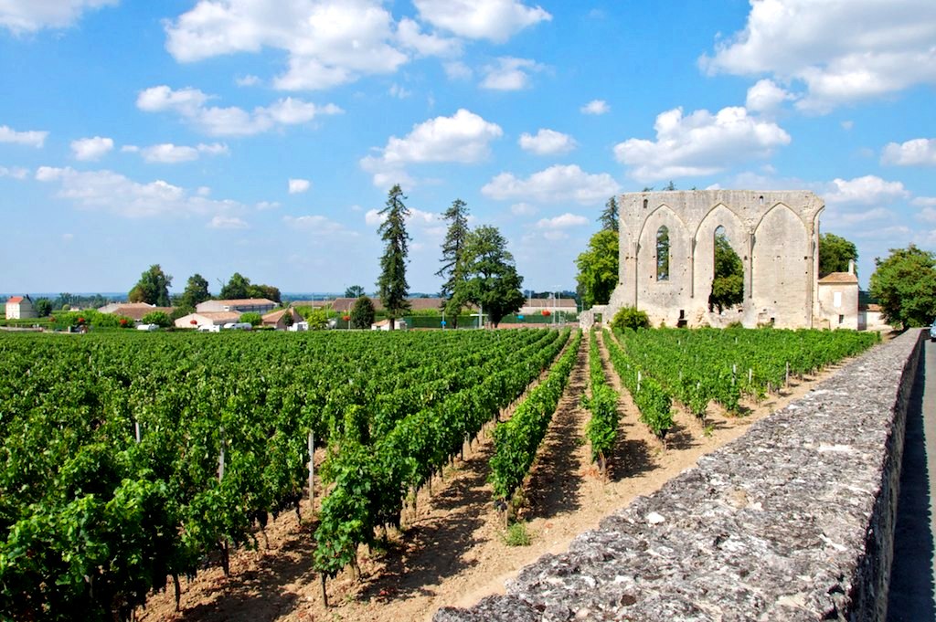 Viñedos cerca de Burdeos, cuna del vino más caro del mundo. Autor, Riolnet