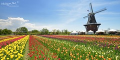Windmill Island - Holland, Michigan by Michigan Nut